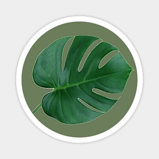 Monstera Leaf Magnet